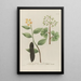Phytanthoza iconographia Pl064 - Johann Wilhelm Weinmann — framed artwork on a wall
