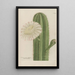 Phytanthoza iconographia Pl078 - Johann Wilhelm Weinmann — framed artwork on a wall