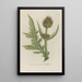 Phytanthoza iconographia Pl110 - Johann Wilhelm Weinmann — framed artwork on a wall