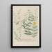 Phytanthoza iconographia Pl113 - Johann Wilhelm Weinmann — framed artwork on a wall