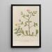 Phytanthoza iconographia Pl114 - Johann Wilhelm Weinmann — framed artwork on a wall