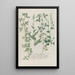 Phytanthoza iconographia Pl124 - Johann Wilhelm Weinmann — framed artwork on a wall