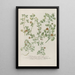 Phytanthoza iconographia Pl125 - Johann Wilhelm Weinmann — framed artwork on a wall