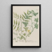Phytanthoza iconographia Pl128 - Johann Wilhelm Weinmann — framed artwork on a wall