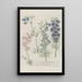 Phytanthoza iconographia Pl131 - Johann Wilhelm Weinmann — framed artwork on a wall