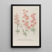 Phytanthoza iconographia Pl133 - Johann Wilhelm Weinmann — framed artwork on a wall