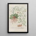 Phytanthoza iconographia Pl135 - Johann Wilhelm Weinmann — framed artwork on a wall