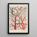 Phytanthoza iconographia Pl149 - Johann Wilhelm Weinmann — framed artwork on a wall