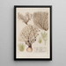 Phytanthoza iconographia Pl150 - Johann Wilhelm Weinmann — framed artwork on a wall
