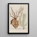 Phytanthoza iconographia Pl151 - Johann Wilhelm Weinmann — framed artwork on a wall