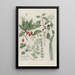 Phytanthoza iconographia Pl152 - Johann Wilhelm Weinmann — framed artwork on a wall
