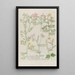 Phytanthoza iconographia Pl153 - Johann Wilhelm Weinmann — framed artwork on a wall