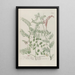 Phytanthoza iconographia Pl159 - Johann Wilhelm Weinmann — framed artwork on a wall