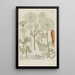 Phytanthoza iconographia Pl181 - Johann Wilhelm Weinmann — framed artwork on a wall