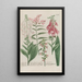 Phytanthoza iconographia Pl187 - Johann Wilhelm Weinmann — framed artwork on a wall