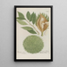 Phytanthoza iconographia Pl191 - Johann Wilhelm Weinmann — framed artwork on a wall