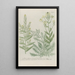 Phytanthoza iconographia Pl206 - Johann Wilhelm Weinmann — framed artwork on a wall