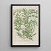 Phytanthoza iconographia Pl211 - Johann Wilhelm Weinmann — framed artwork on a wall