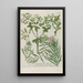 Phytanthoza iconographia Pl215 - Johann Wilhelm Weinmann — framed artwork on a wall