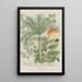 Phytanthoza iconographia Pl224 - Johann Wilhelm Weinmann — framed artwork on a wall