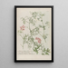 Phytanthoza iconographia Pl244 - Johann Wilhelm Weinmann — framed artwork on a wall
