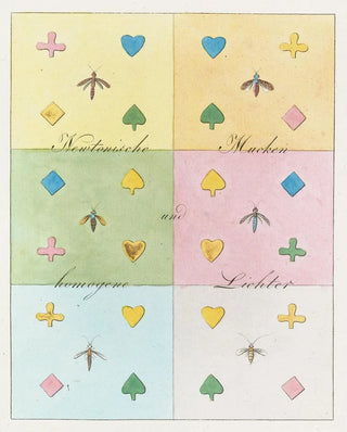 On the theory of colors Pl13 - Johann Wolfgang von Goethe — artwork view