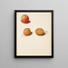 Study of Layers and Plums - Johanna Fosie — framed artwork on a wall