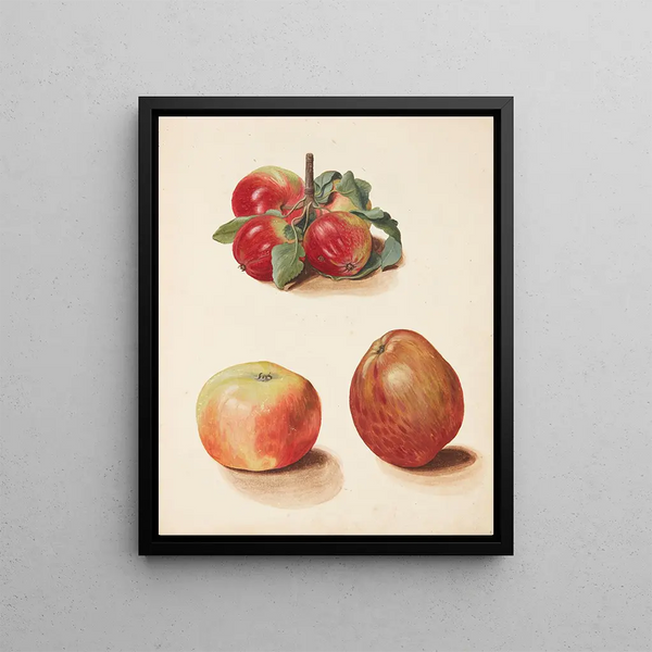 Study of the Layers - Johanna Fosie — framed artwork on a wall
