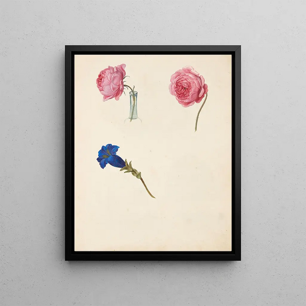 Study of the Lily Rose and the Flower of Bl - Johanna Fosie — framed artwork on a wall
