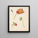 Study of tulips and other flowers - Johanna Fosie — framed artwork on a wall