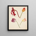 Study of Tulips - Johanna Fosie — framed artwork on a wall