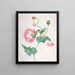 a poppy in three blooming stages with a chrysalis and a butterfly - Johanna Helena Graff — framed artwork on a wall