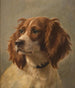 Epagneul de couleur marron-blanc - Johannes Christian Deiker — artwork view