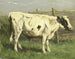 Young Bull - Johannes Hubertus Leonardus de Haas — artwork view