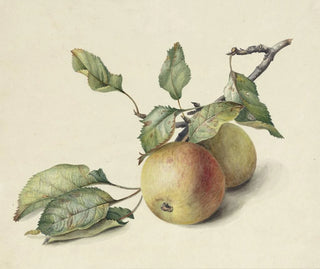 Deux pommes sur une branche - Johannes Reekers II — artwork view