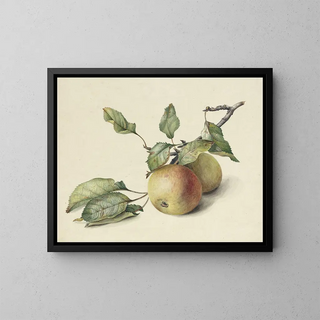 Deux pommes sur une branche - Johannes Reekers II — framed artwork on a wall