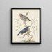 Brazil in Hummingbird - Johannes van Bronckhorst — framed artwork on a wall