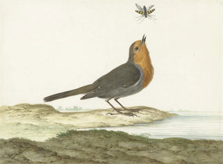 Red-breast Painting - Johannes van Bronckhorst — artwork view