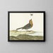 Red-breast Painting - Johannes van Bronckhorst — framed artwork on a wall