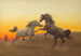Arab stallions at sunset - John Alexander Harrington Bird — artwork view
