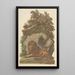 The Lion - John Baptist Jackson — framed artwork on a wall