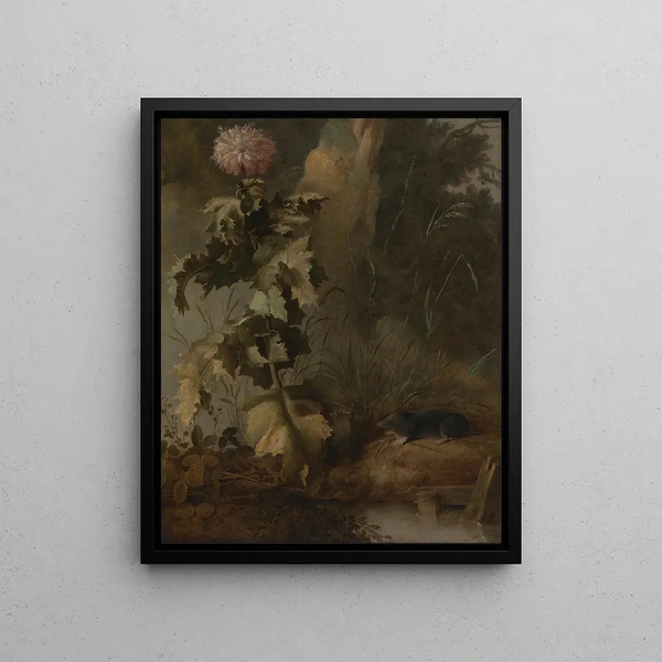 An Egyptian poppy and a water mole - John Crome — framed artwork on a wall