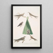 Martinet de Balassie Cypselus palmarum 1a Male 1b Female 1c Juvenile 1d Nest 2 Allied martin Cypselus affinis - John Edward Gray — framed artwork on a wall