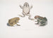 a Carved Snouted Toad Bufo carinatus 2 2a Dubious Toad Bufo dubius Bengal - John Edward Gray — artwork view