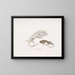 Macgregor's Lyre-headed Lizard, Stoddart's Unicorn Lizard, Ceylon - John Edward Gray — framed artwork on a wall