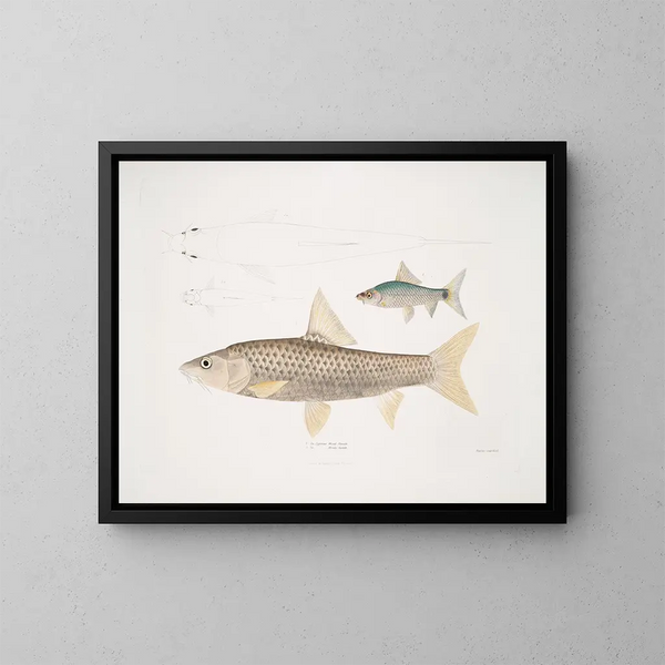 Carpe Mosal, Carpe Morala - John Edward Gray — framed artwork on a wall