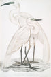 Héron blanc pur Ardea modesta 2 Héron à bec noir Ardea nigrirostris - John Edward Gray — artwork view