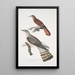 Coucou à bec fin Cuculus tenuirostris 2 Coucou Bhrow Brow Cuculus Lathami - John Edward Gray — framed artwork on a wall
