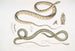 the Spotted Belly Snake Coluber ventromaculatis 2 Tree Snake of Bell Ahtula Bellii - John Edward Gray — artwork view