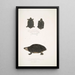 Spotted Turtle Emys Guttata Emys Hamiltonii 2 Thick-necked Turtle Emys crassicollis - John Edward Gray — framed artwork on a wall